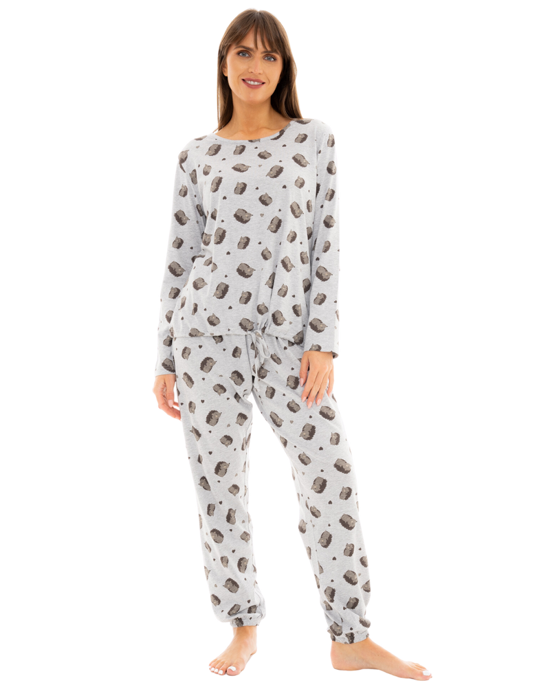 Hedgehog Cotton Rich Jersey Pyjamas