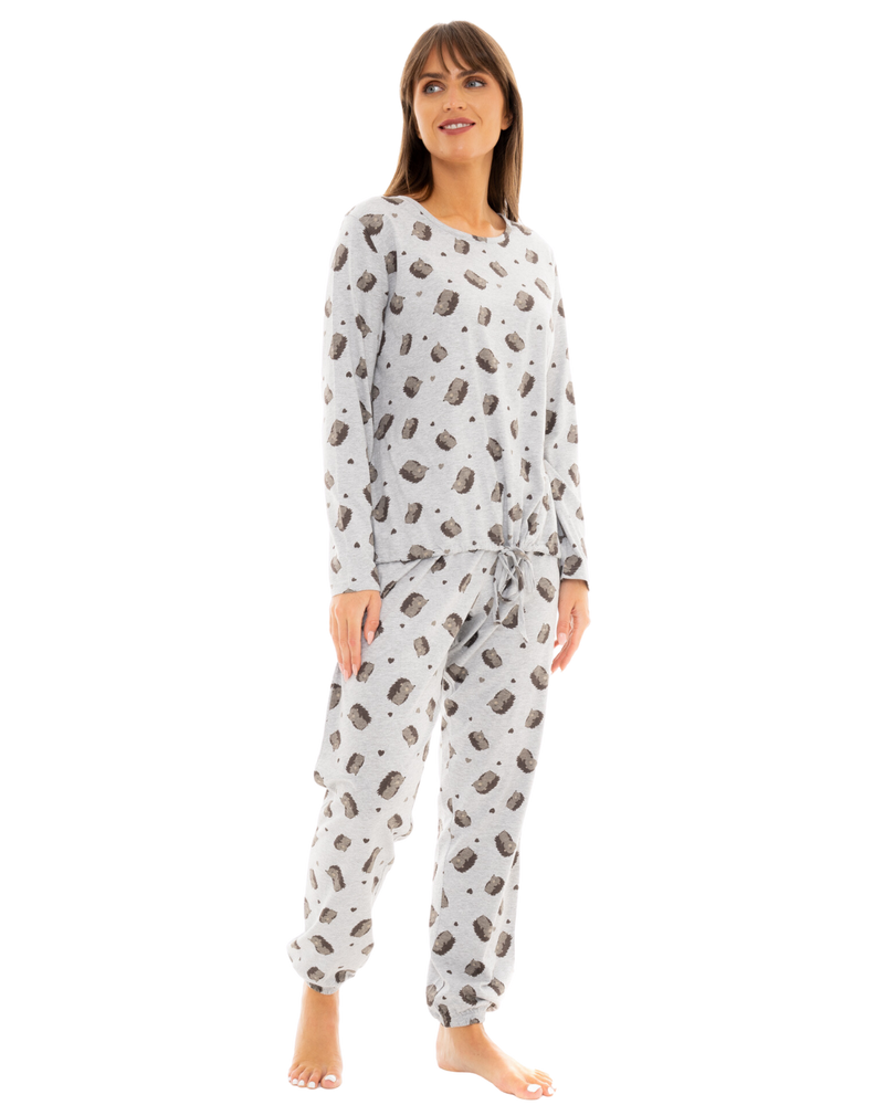 Hedgehog Cotton Rich Jersey Pyjamas