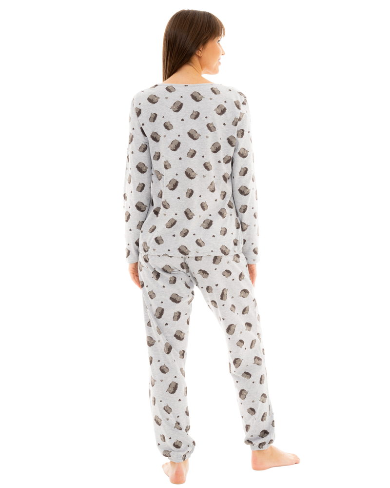 Hedgehog Cotton Rich Jersey Pyjamas